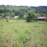 propertychec