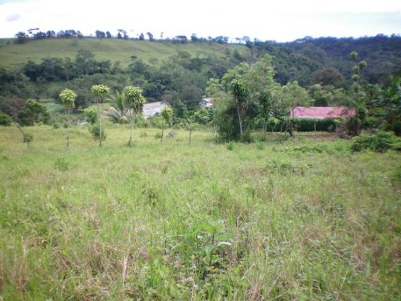 propertychec