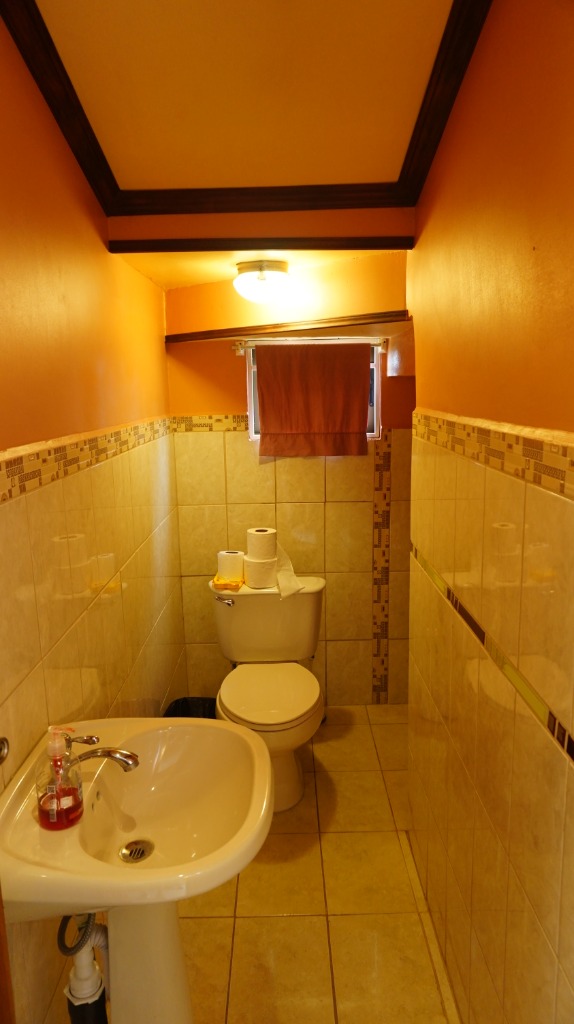 DSC00519 propertychec