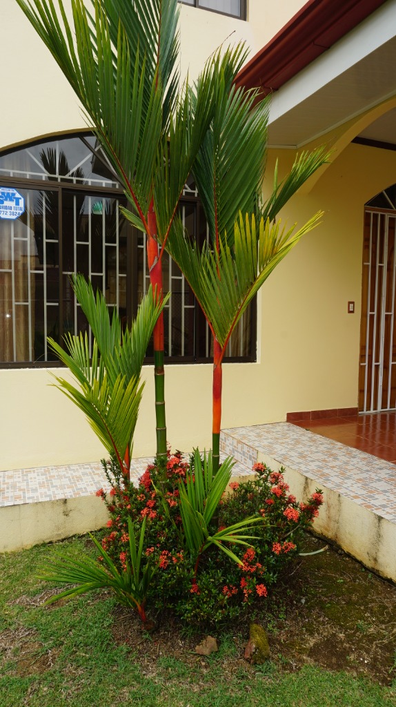 DSC00553 propertychec