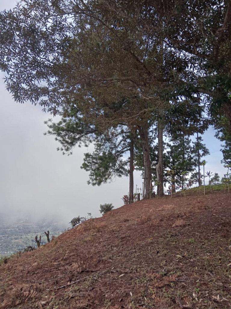 miravalles-land-for-sale -2- propertychec