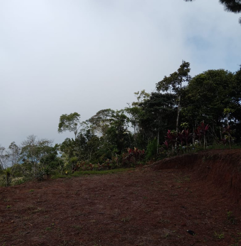 768