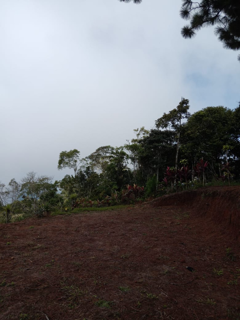 miravalles-land-for-sale -3- propertychec
