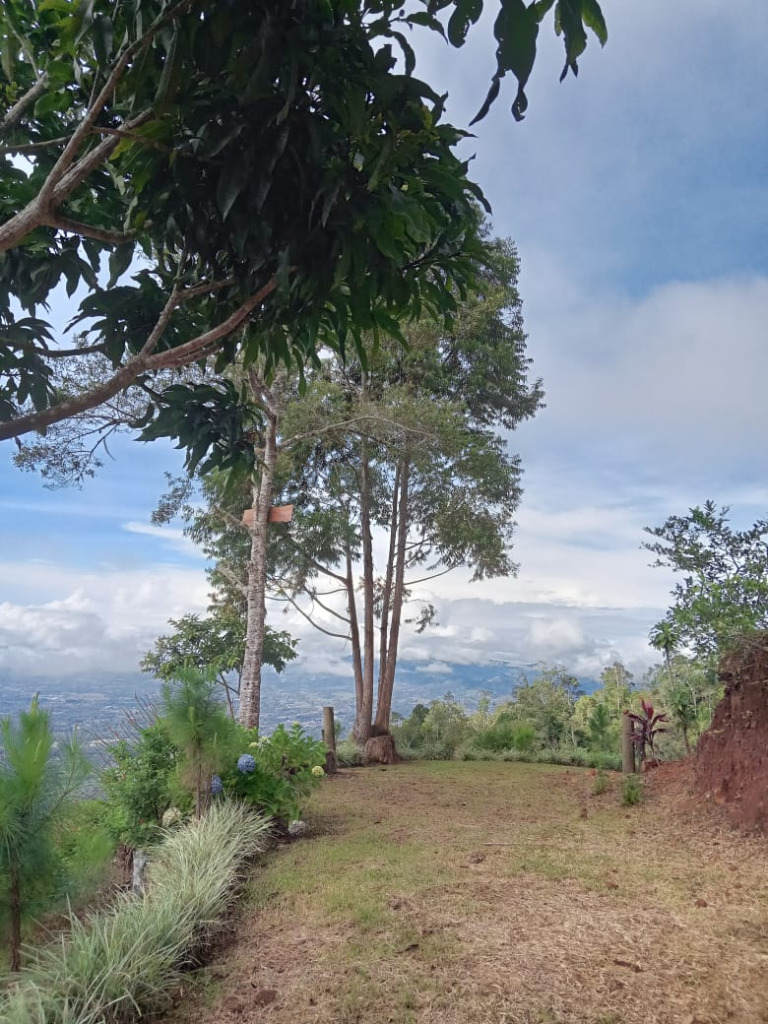 miravalles-land-for-sale -6- propertychec