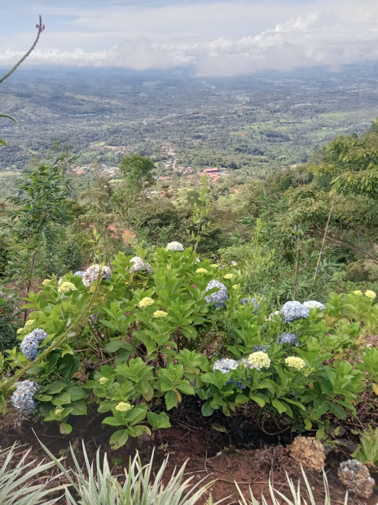 miravalles-land-for-sale -8- propertychec