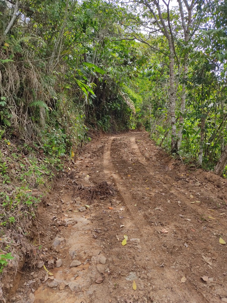 perez-zeledon-farm-sale-8- propertychec