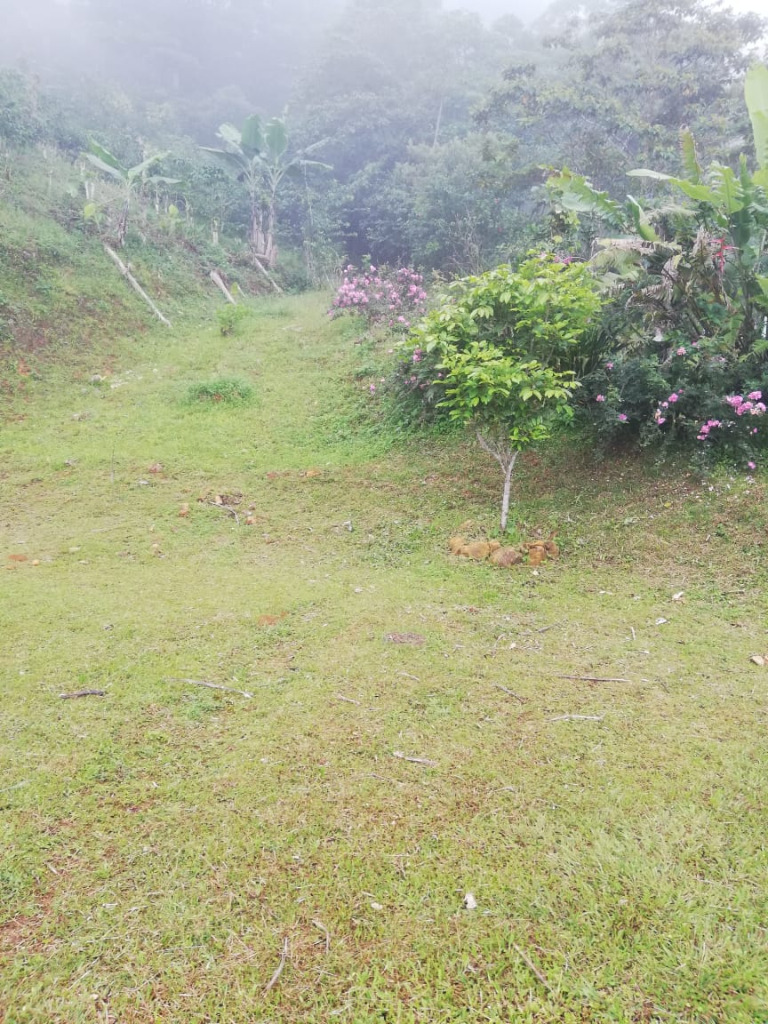san-jose-rivas -21- propertychec