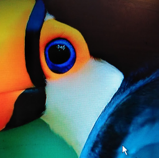 512