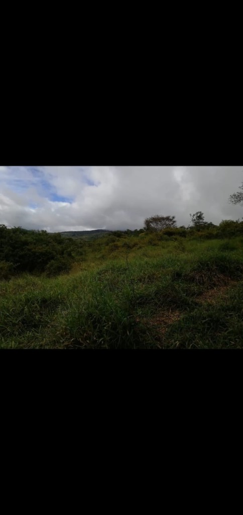 finca-potrero-grande-2- propertychec