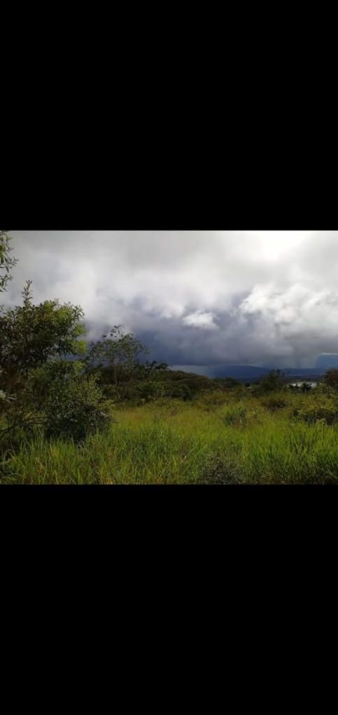 finca-potrero-grande-3- propertychec
