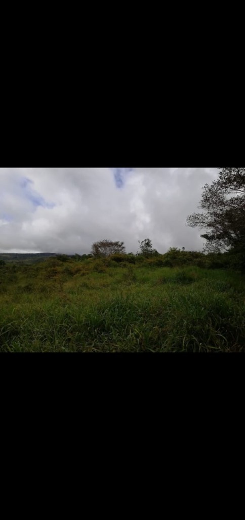 finca-potrero-grande-4- propertychec