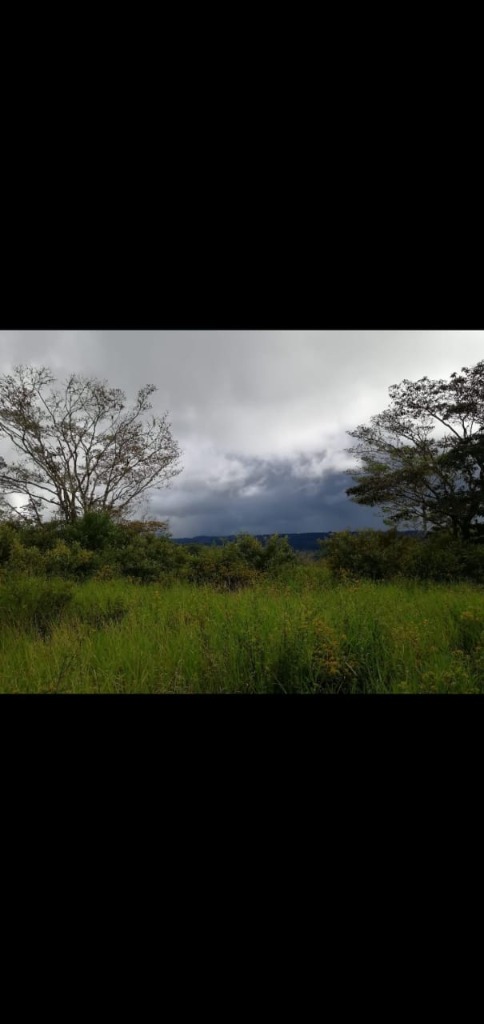 finca-potrero-grande-8- propertychec
