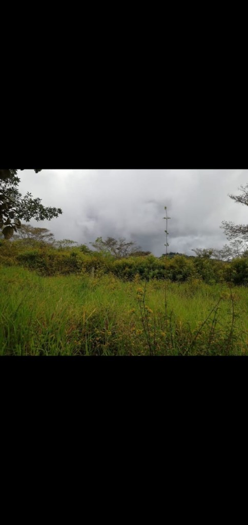 finca-potrero-grande-9- propertychec