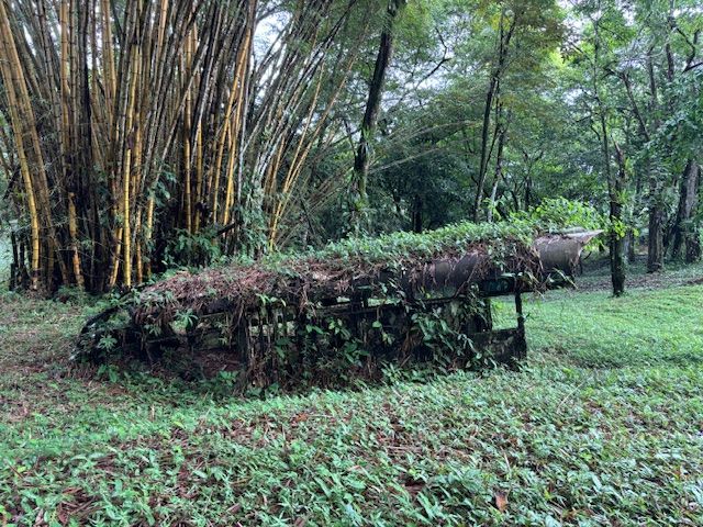 640